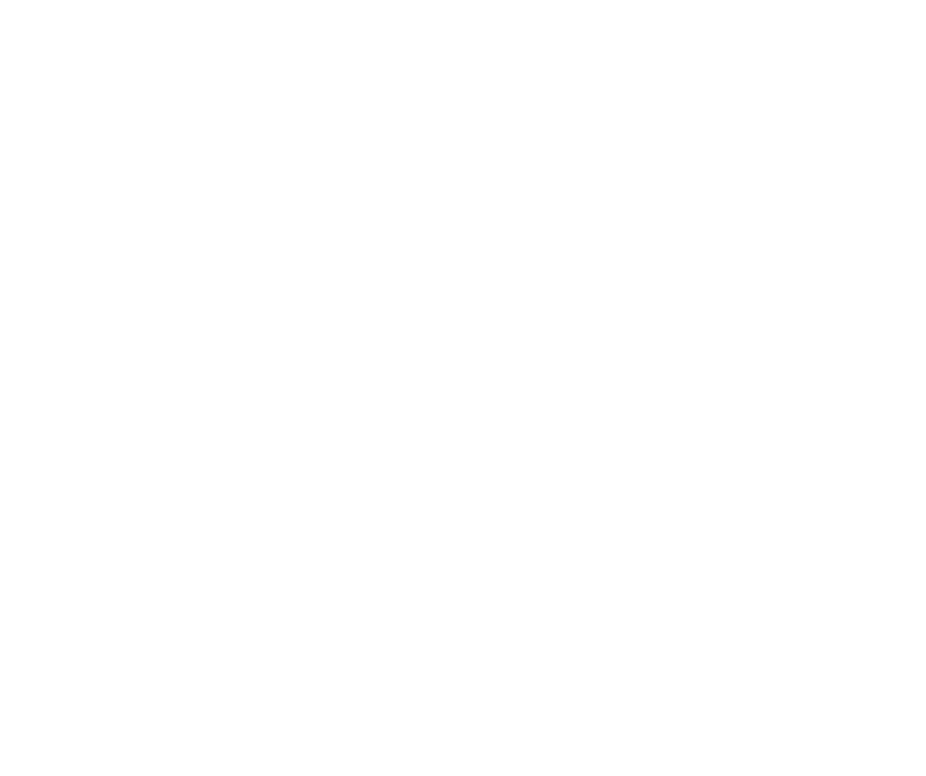 THE BAJWA GROUP-02